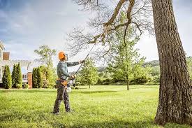 Best Commercial Tree Services  in Highland, UT